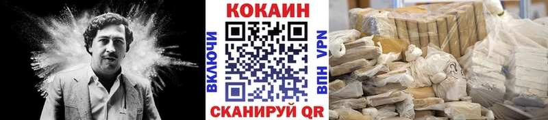 цена наркотик  Курган  Кокаин Fish Scale 