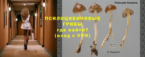эйфоретик Наволоки