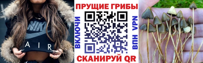 Псилоцибиновые грибы мухоморы  Курган 