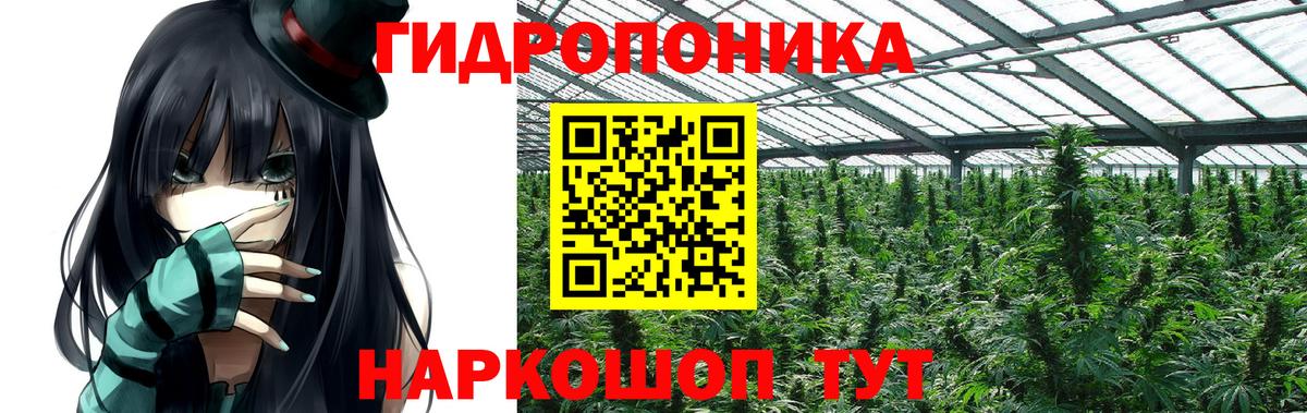 МАРИХУАНА тримм  Бошки марихуана план  Конопля OG Kush  Курган  Вход с VPN  Бошки марихуана гибрид 